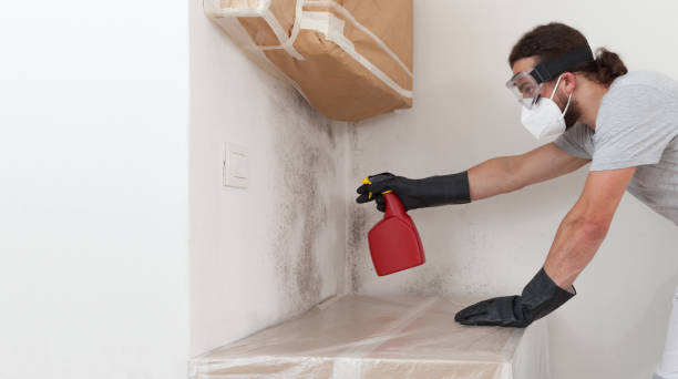Professional Black Mold Remediation technician working in Patchogue, NY